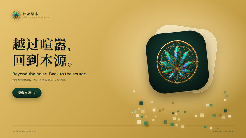 海报 13
