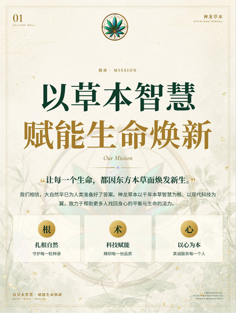 01 · 以草本智慧 赋能生命焕新