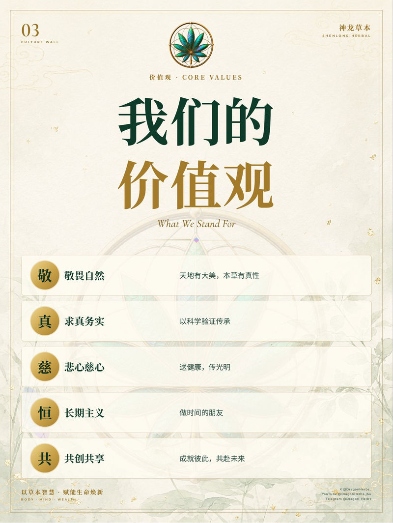 03 · 我们的价值观