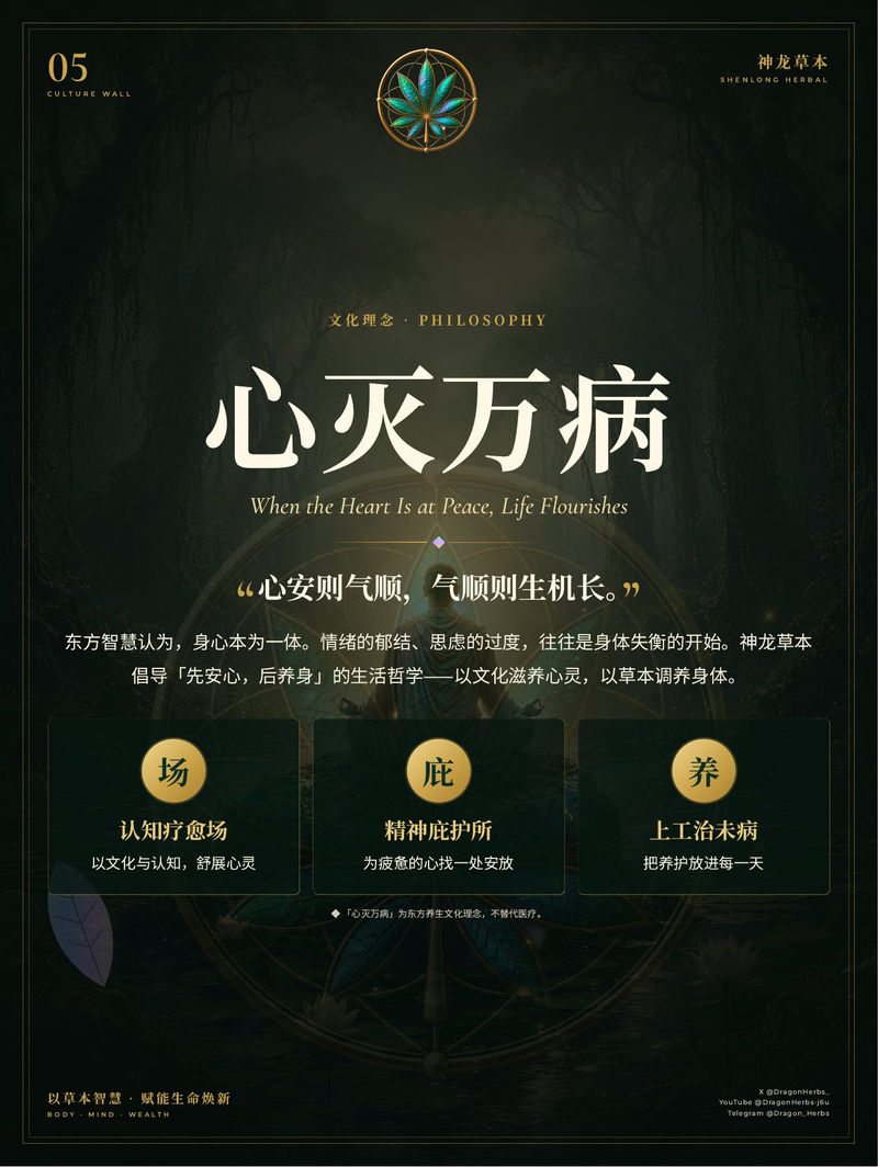 05 · 心灭万病