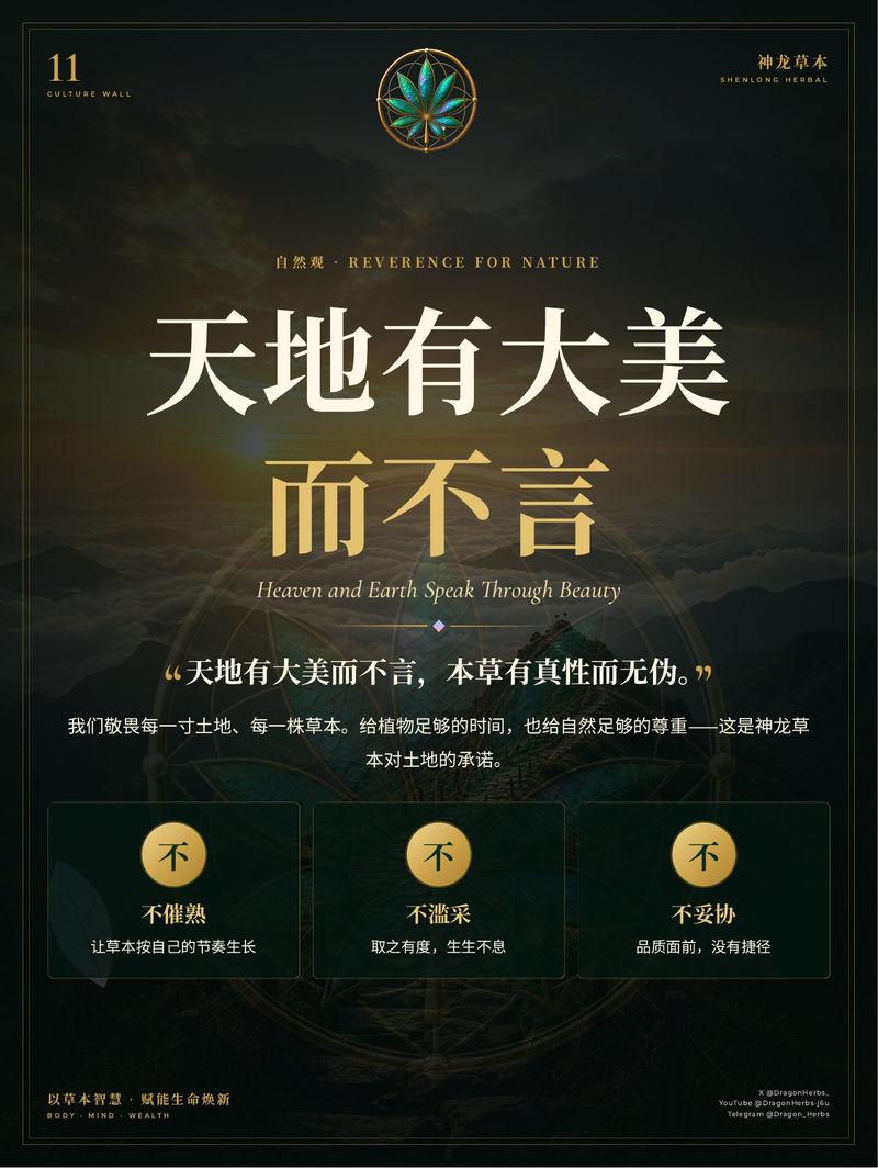 11 · 天地有大美 而不言