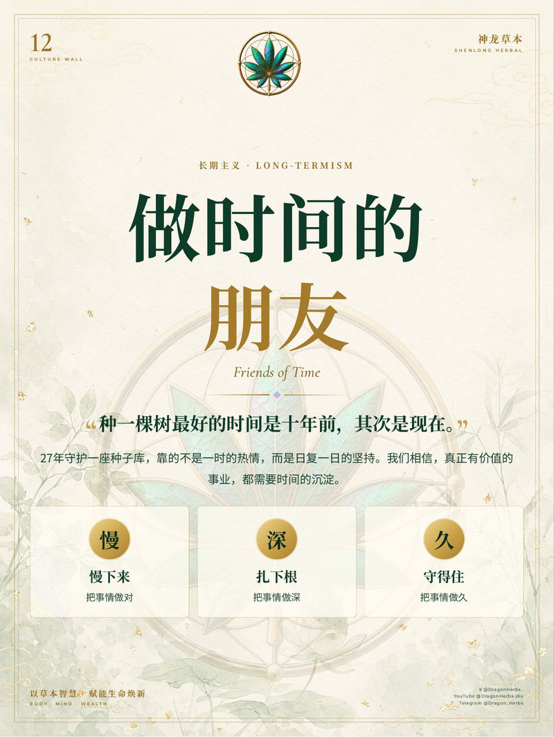 12 · 做时间的朋友
