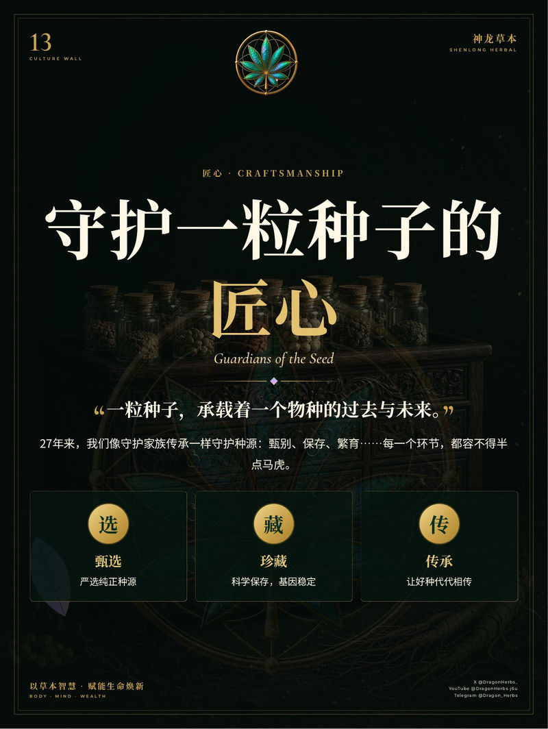 13 · 守护一粒种子的匠心