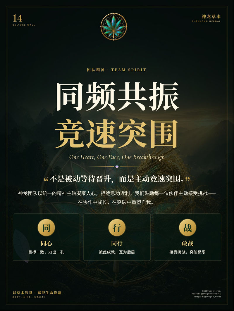 14 · 同频共振 竞速突围