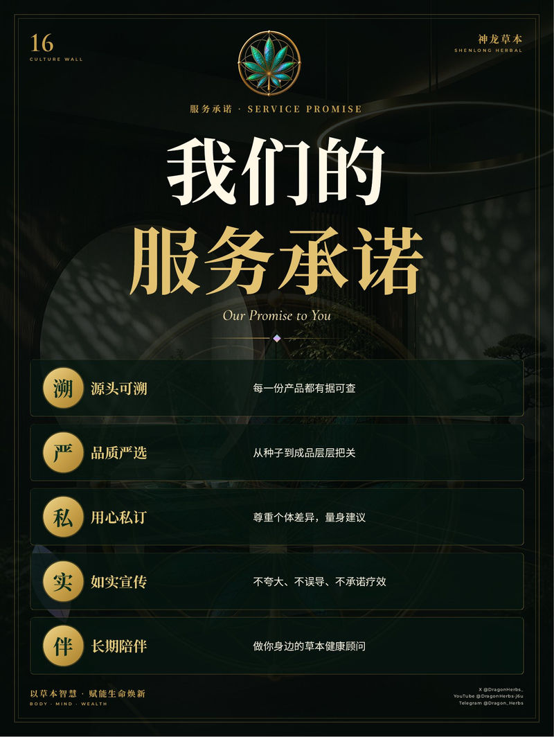 16 · 我们的服务承诺