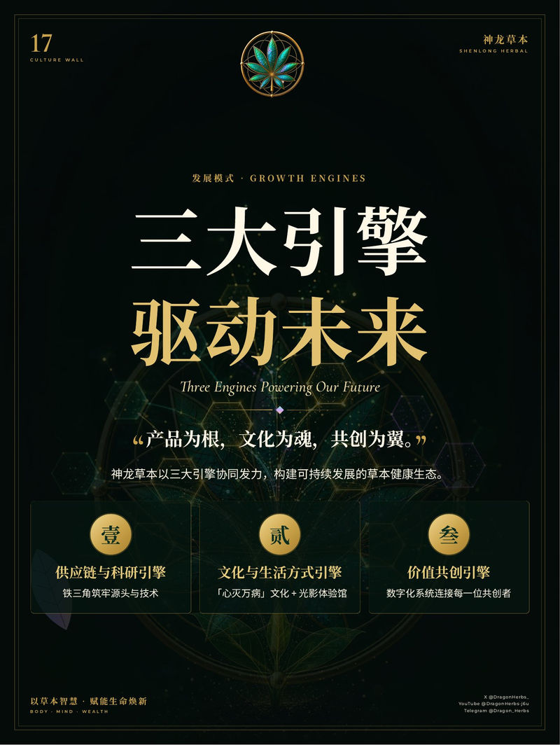 17 · 三大引擎 驱动未来
