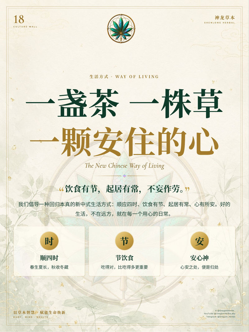 18 · 一盏茶 一株草 一颗安住的心