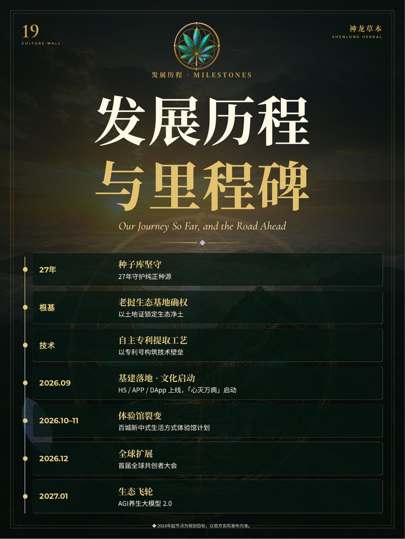 19 · 发展历程与里程碑
