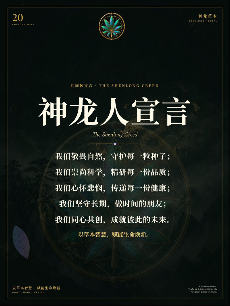 20 · 神龙人宣言