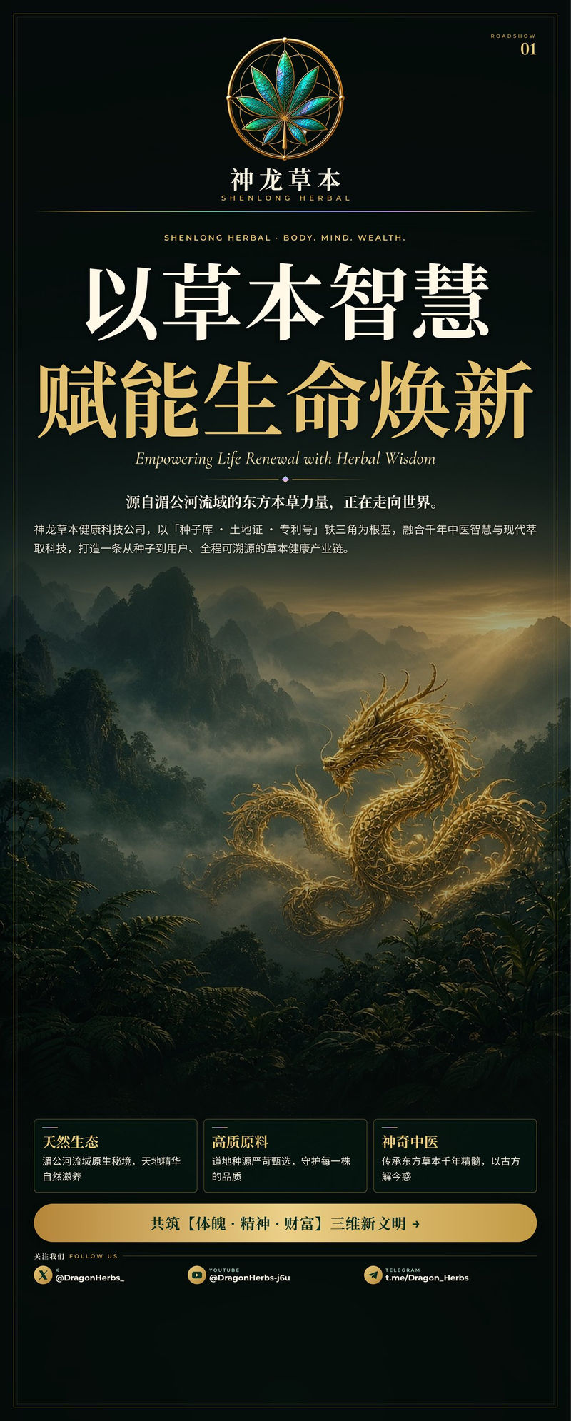 易拉宝 01