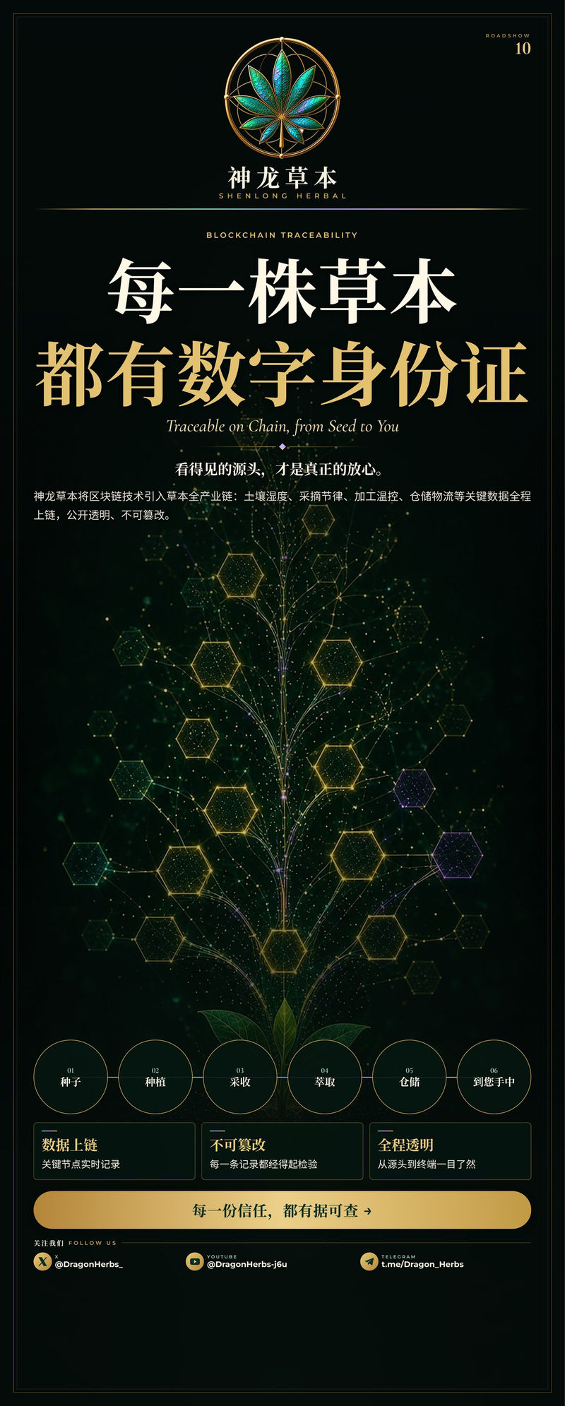 易拉宝 10