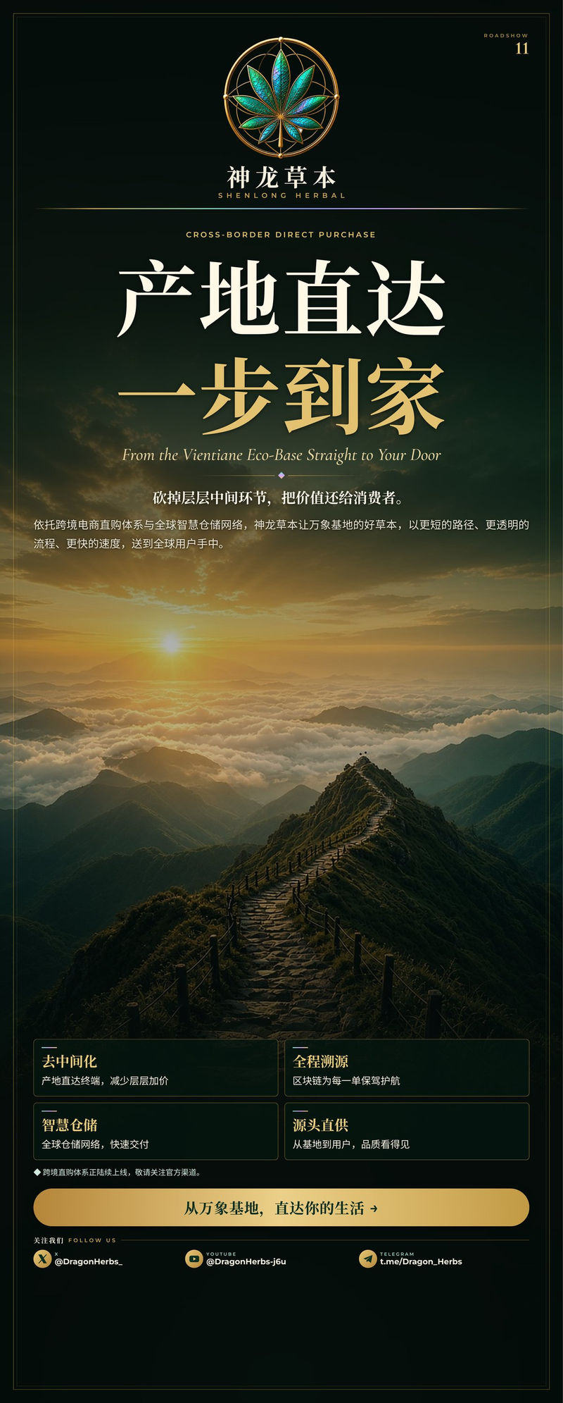 易拉宝 11