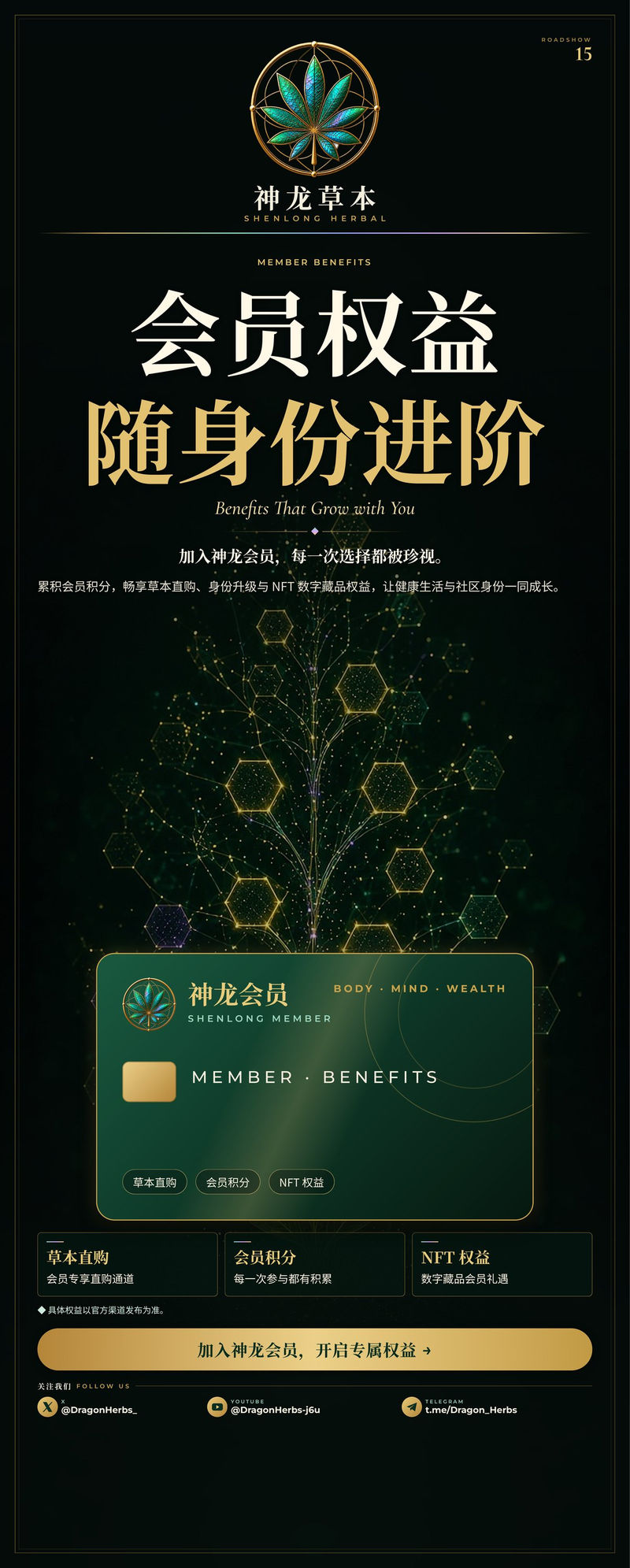 易拉宝 15