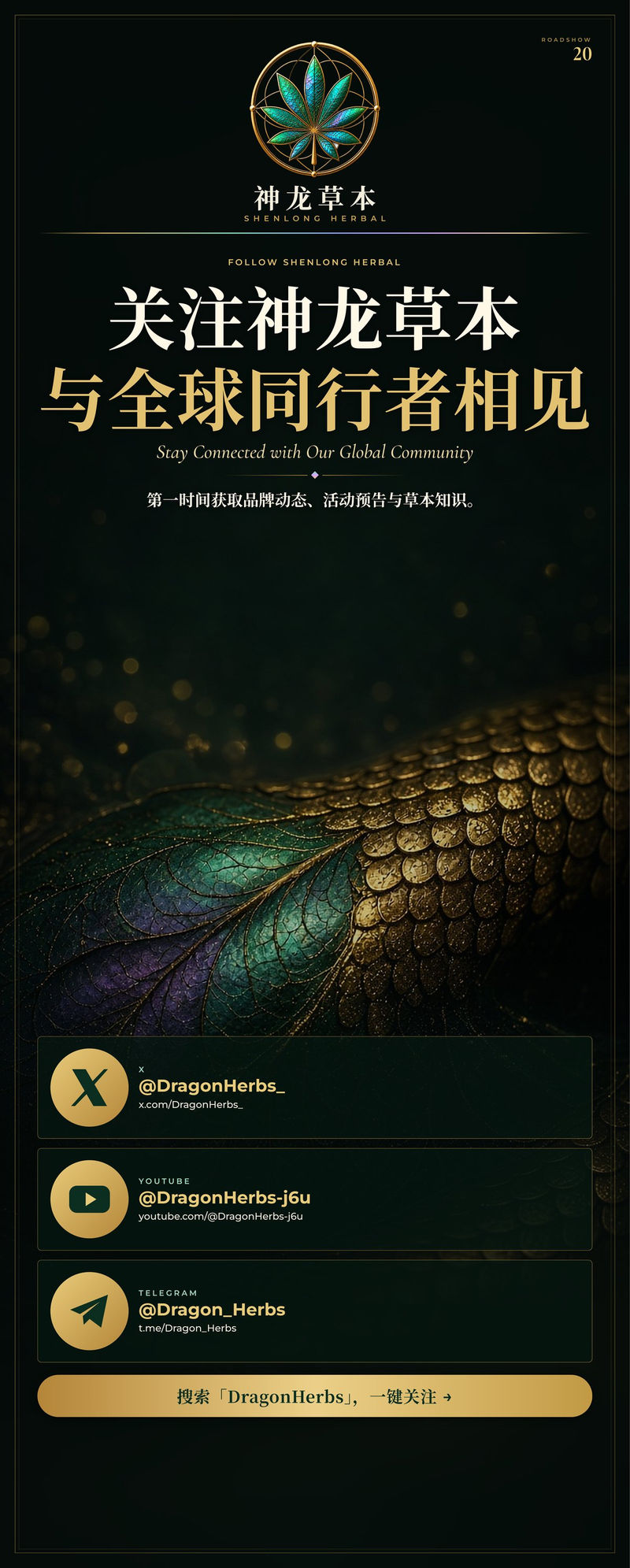 易拉宝 20